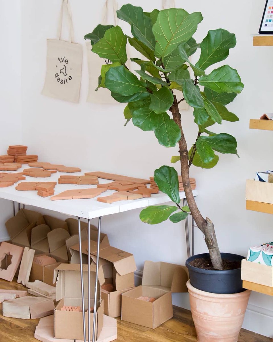 Tile Desire tweet media