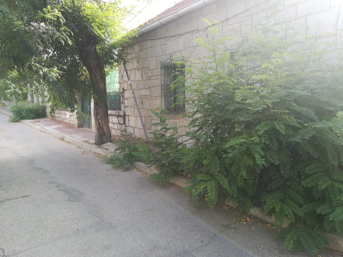 bnietodeantonio tweet picture