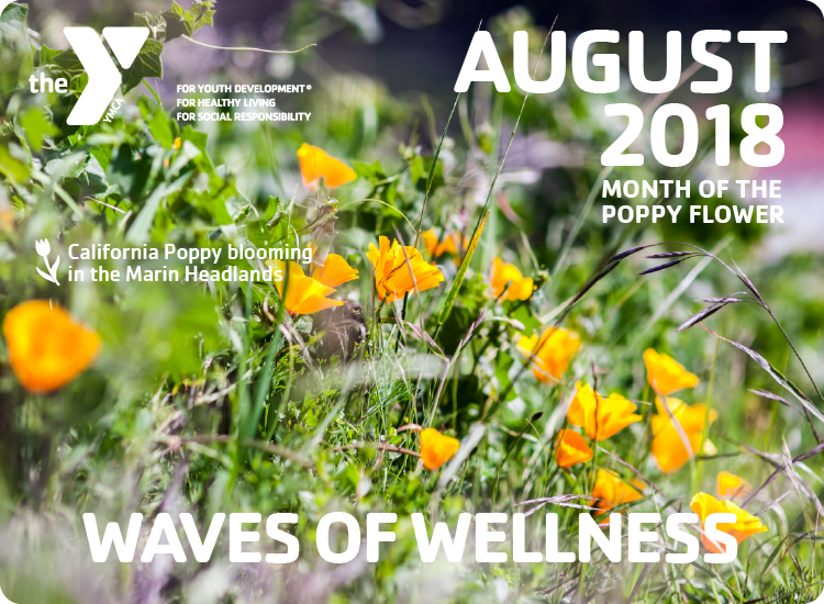 August Waves of Wellness conta.cc/2O97gHx