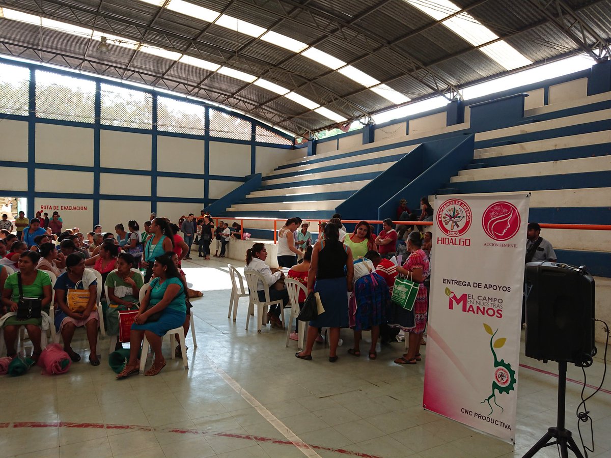 cnc_mujeres_hgo's tweet photo. En #SanFelipeOrizatlan entregando 125 modulos de Gallinas de postura con apoyo de la @SAGARPA_mx @SagarpaHgo del componente #ECENM, proyectos elaborados por mujeres @Mely_Romero trabajando por mujeres @LetyBarreraM @campesinita @BeyssyKarem @erikasaabl y para mujeres @CNC_CEN https://t.co/FHbJTn47Gu