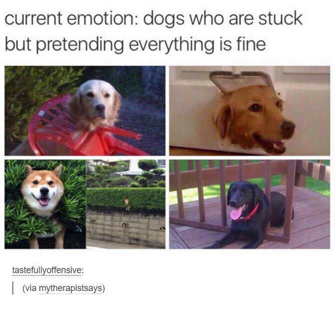 MobDim (@mobiusdimension) on Twitter photo 