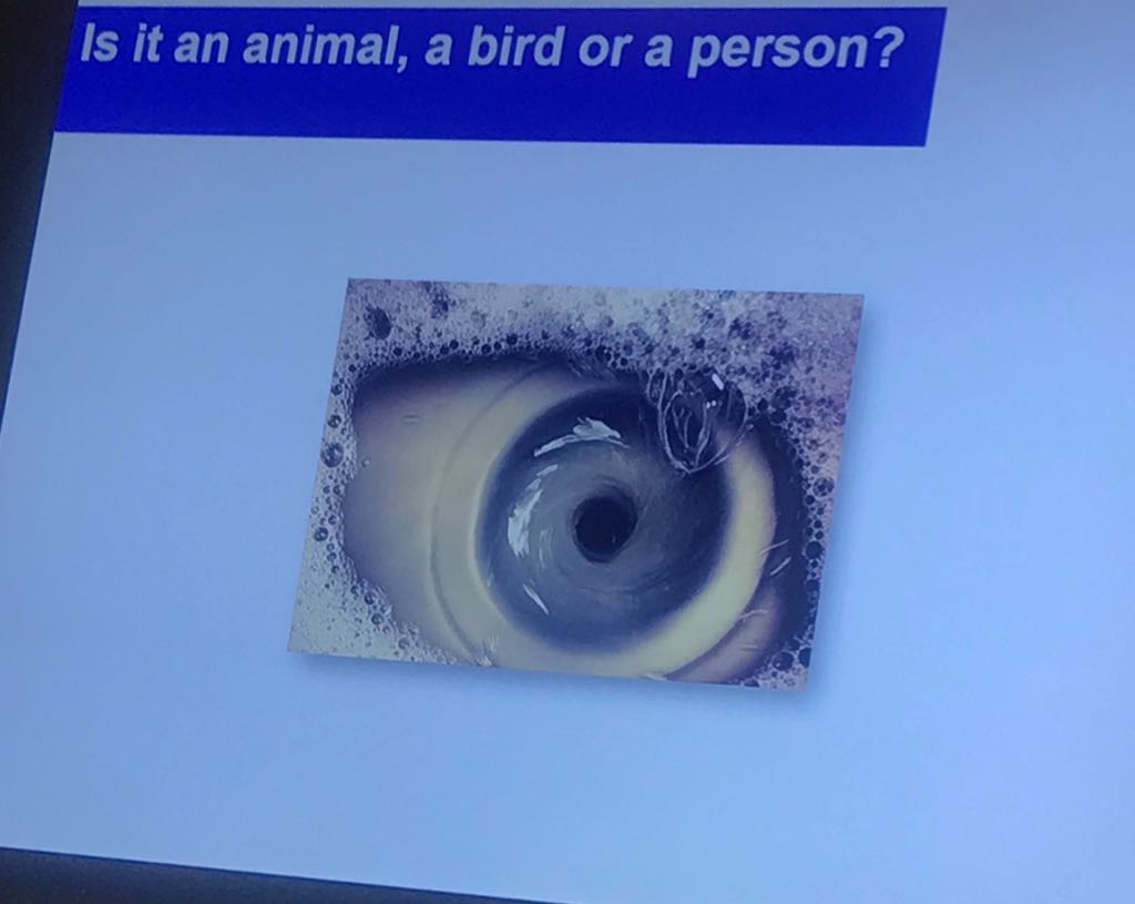 Richmond_Col's tweet photo. #bbeltcolombia2018 #joyofteaching Reflecting on the importance of visual literacy with Tony Harden https://t.co/lRr4obvFpc