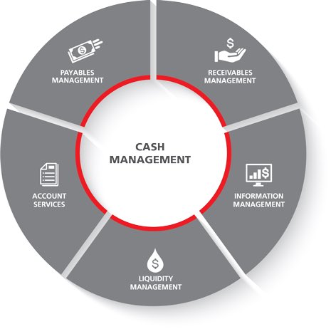 PalenciaDiego's tweet photo. CASH MANAGEMENT: Estamos presenciando el cambio de paradigma en los medios de pago. Pero ojo, un medio de pago NO ES UNA INVERSIÓN. Un medio de pago permite optimizar tiempo, comisiones y eficiencia. Blockchain es la revolución de los medios de pago. https://t.co/kPFfTUqFY5