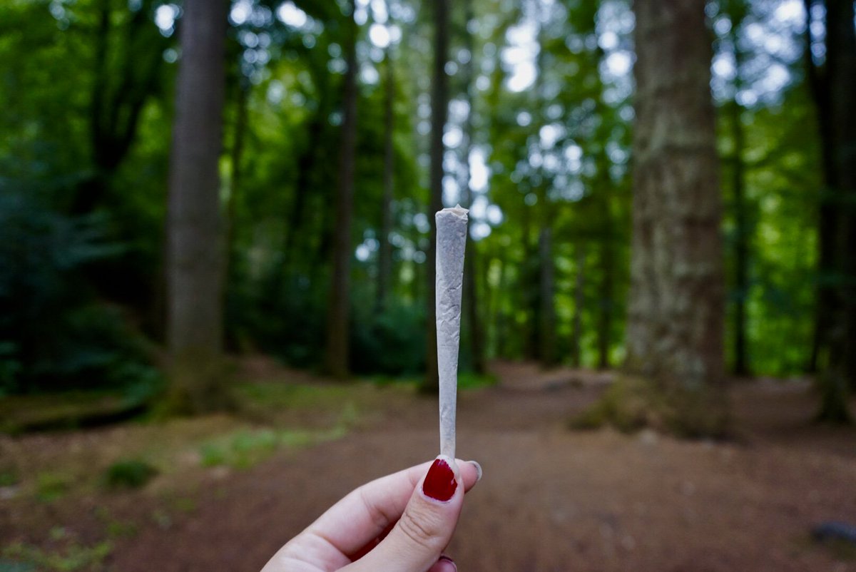 PuffinPaperClub's tweet photo. Woody🌿
#puffinpaper #purehemp #subscription #hemp #smokenaturally #smokenature #smokeweed #rollingpapers #smokingpapers #uk420 #ukcannabis #ukcannabisclub #ukcannabiscommunity #ukdank #ukloud #ecofriendly #cannabissociety https://t.co/PIvDsriq9X