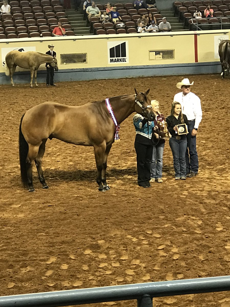 AQHYA's tweet photo. Congratulations to Secretist and Kaylee Hamm on winning the title of World Champion 3-Year-Old Gelding!🏆 #AQHYAWorld #GetThatGlobe @FordTrucks https://t.co/tprRURRIwt