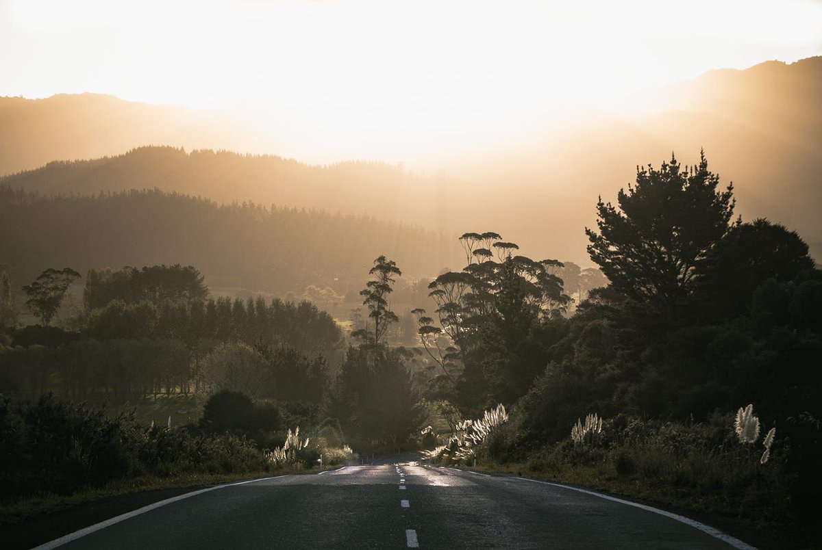 pixbufhq's tweet photo. 16 Great Ideas for Summer Photography | Contrastly https://t.co/rRCVeHUFpm https://t.co/qwVfDr4GAJ