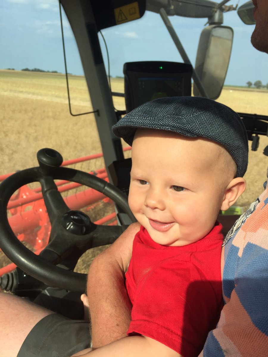 MaryBon4's tweet photo. Busy combining season for Henry !No messing about combine driver at 6 months! #claas #lexion770 #combinedriver #2018harvest @jkwilliams966 https://t.co/4IZDgQHQF8