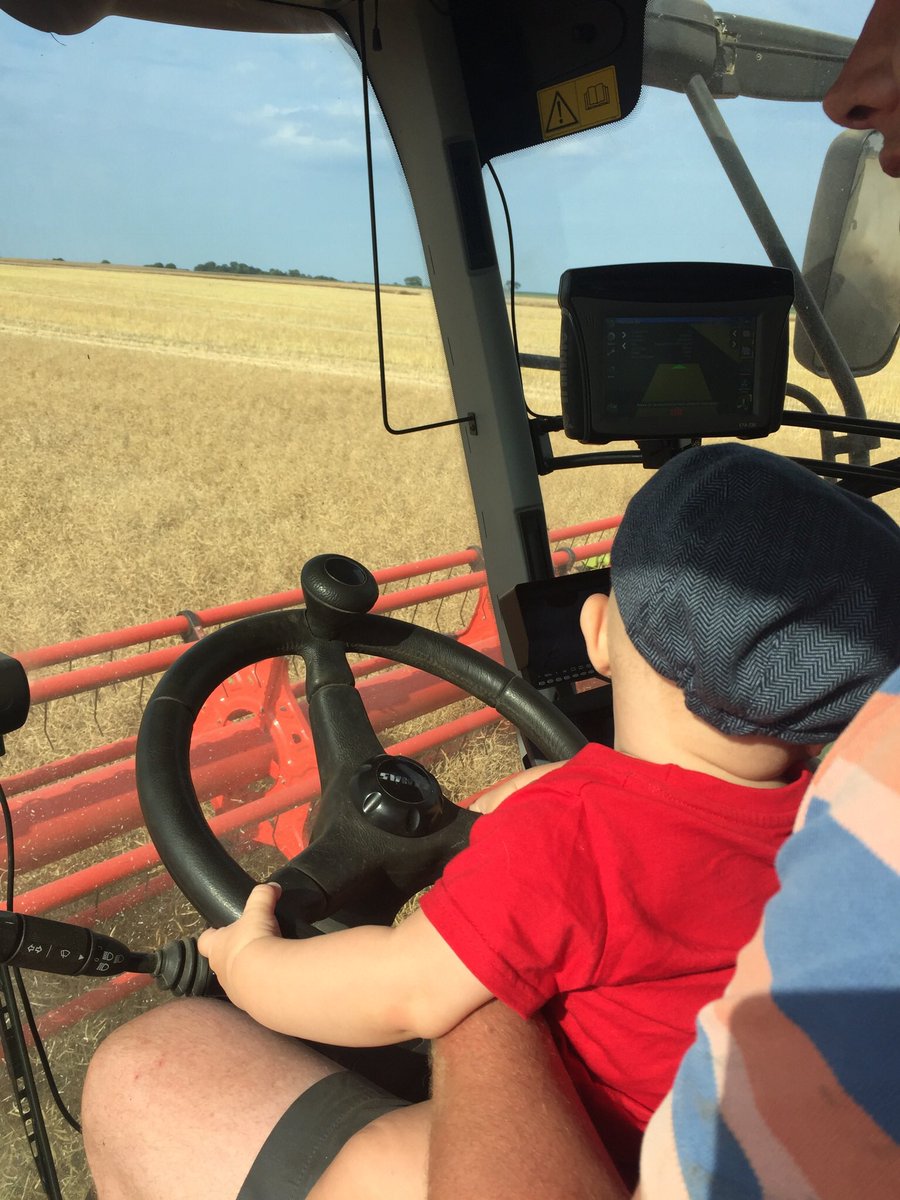 MaryBon4's tweet photo. Busy combining season for Henry !No messing about combine driver at 6 months! #claas #lexion770 #combinedriver #2018harvest @jkwilliams966 https://t.co/4IZDgQHQF8