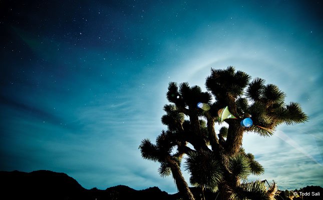 DaveBemisUT's tweet photo. Take your time-lapse #photographs to the next level! #photography  https://t.co/hWcXRmvcGm https://t.co/tJrd34Fx8S