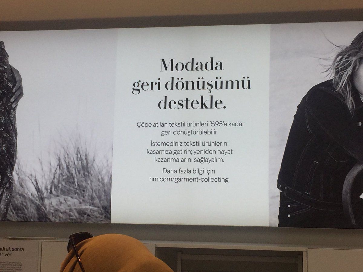 zeynep yilmazoglu tweet media