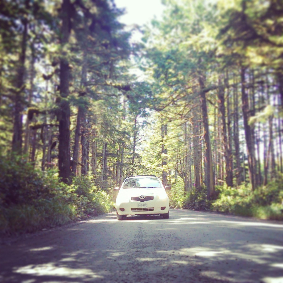 Some of the best views on our road trip were from the front seat of our Toyota Yaris. Whether it was the Canadian Rocky Mountains, the open skies of Saskatchewan, or sunsets along Manitoba lakes, our Yaris was always there for us. #MyPrairieToyota #ToyotaYaris <a href="/PrairieToyota/">Prairie Toyota</a>