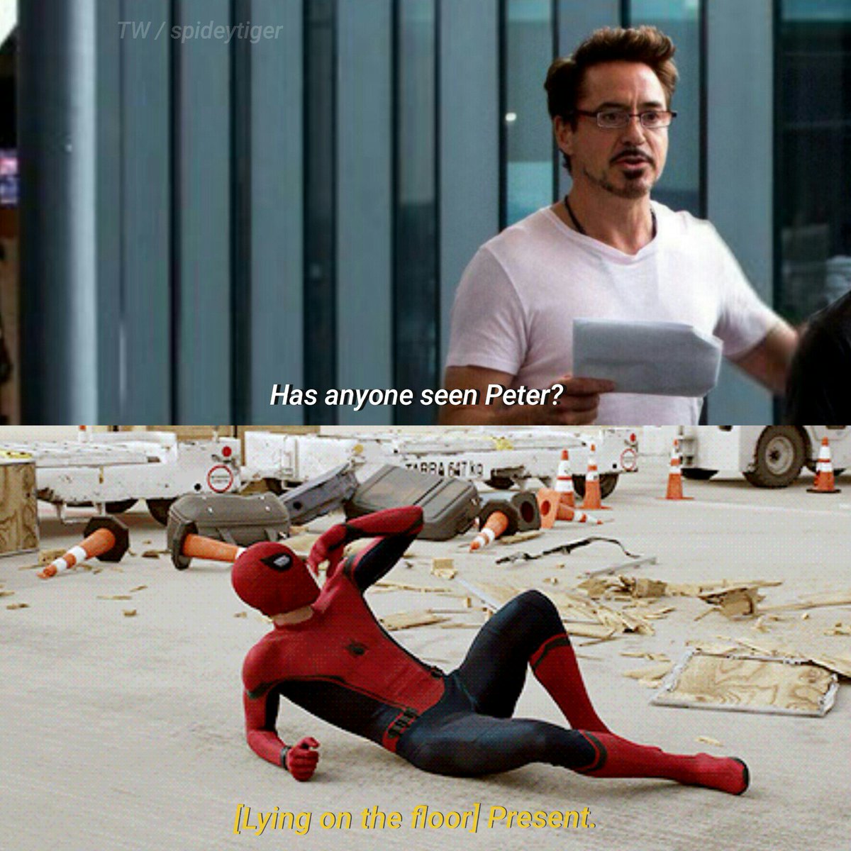 spideytigerh's tweet photo. WYD Tiger? 💖

dc: incorrectstarkfamilyquotes | tumblr https://t.co/ubWWw6IcD6