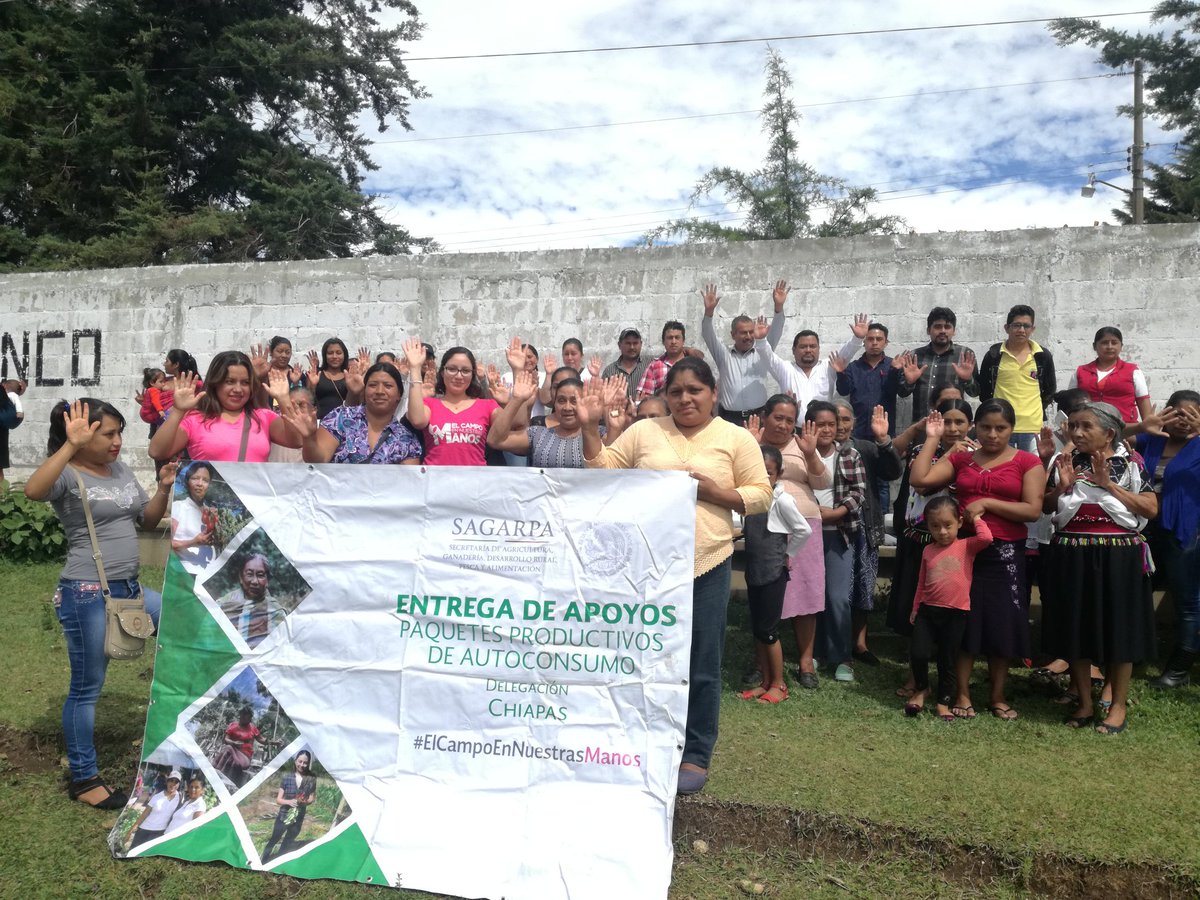 Marcelachiapas's tweet photo. #SagarpaChiapas #ElCampoEnNuestrasManos continúa con entrega de Paquetes Productivos de Autoconsumo, en esta ocasión a Mujeres de diferentes localidades del Municipio de Pueblo Nuevo Solistahuacan. https://t.co/l2H6ljAC9L