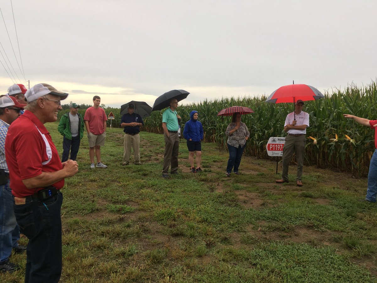 Emily Mueller tweet media