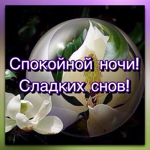 Пока пока спокойной ночи картинки