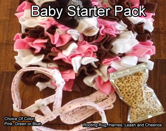 Pig_Gear's tweet photo. Perfect new Pig Gear Pack for those sweet little piglets. Train them and let them root for cheerios #piglet #piggear #MiniaturePig #pigtraining https://t.co/zLHYfGhroa