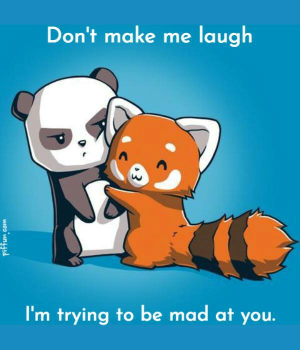 Rexys16's tweet image. 