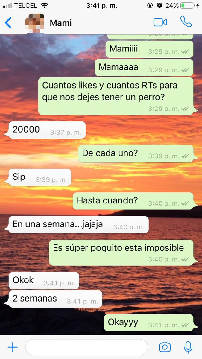 SofiaOsorioF's tweet photo. Pliiiis ayudaaaa🙏🏼 mis hermanos y yo nos morimos por tener un perrito en mi casa 🐶 https://t.co/AUGxPqnzUb