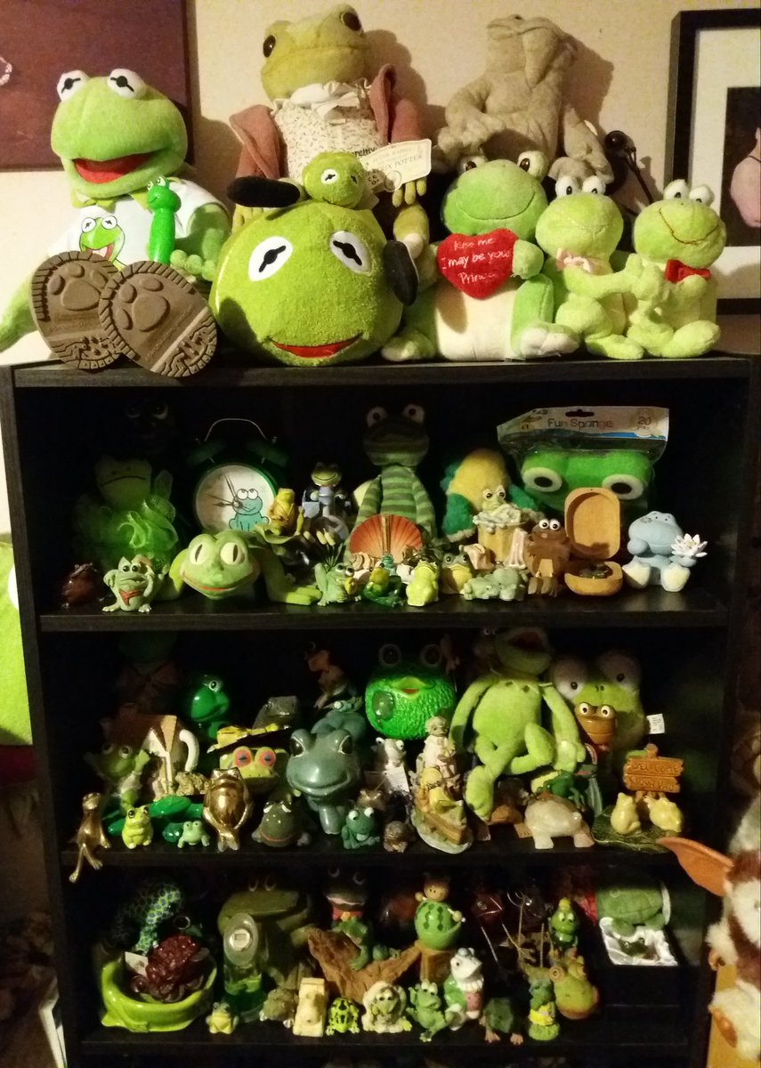 dawnszoophotos's tweet image. @chesterzoo @eBay_UK @smudgiesmum loving #ThisSignIsMine i picked up today perfect to add to my FrogCollection #700+Items