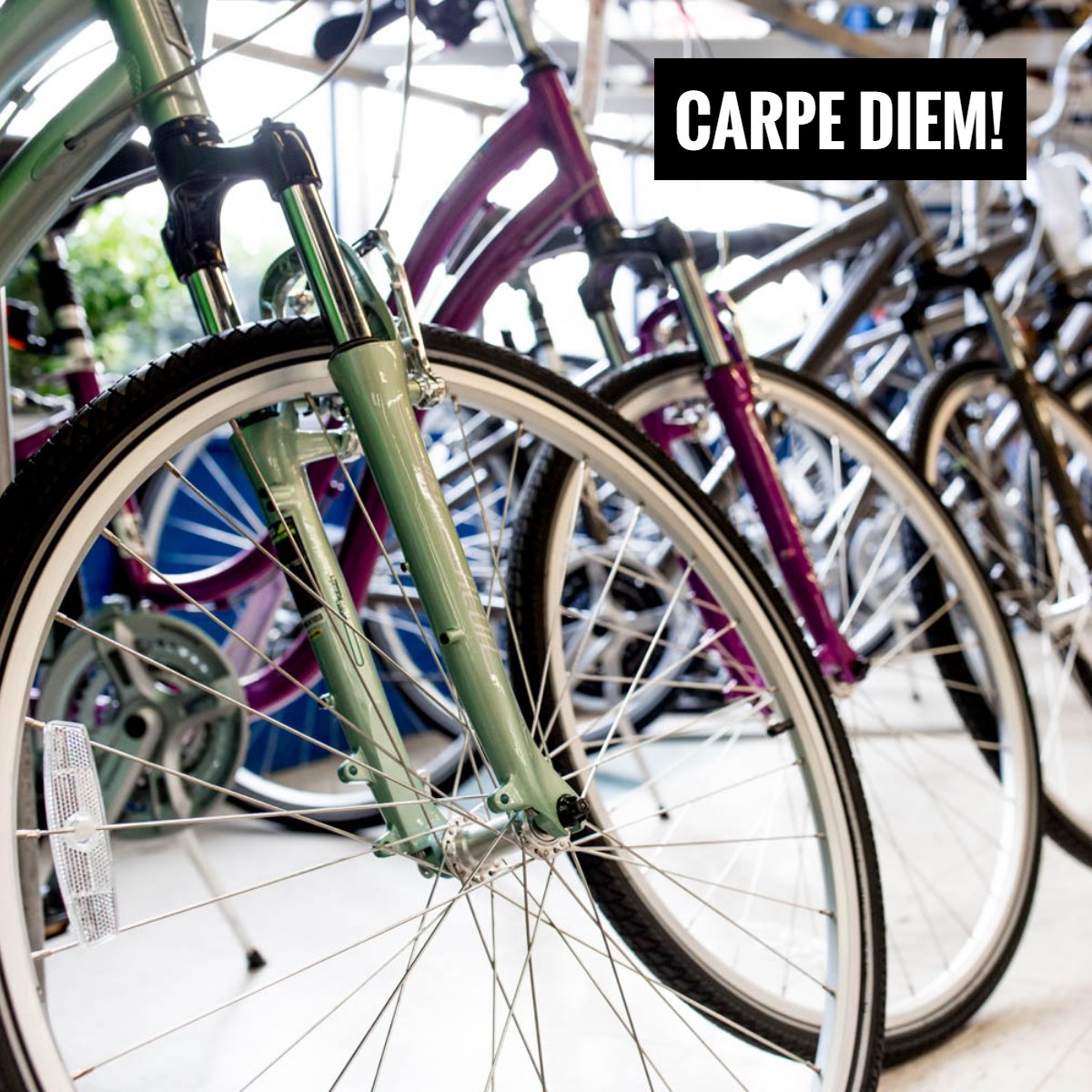 Grapevine Bike Center (GrapevineBike) Twitter