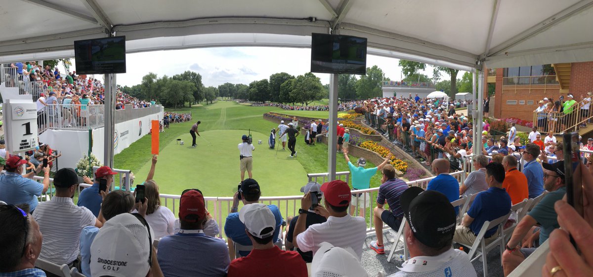 rehbirdie's tweet image. #TigerEffect 👀