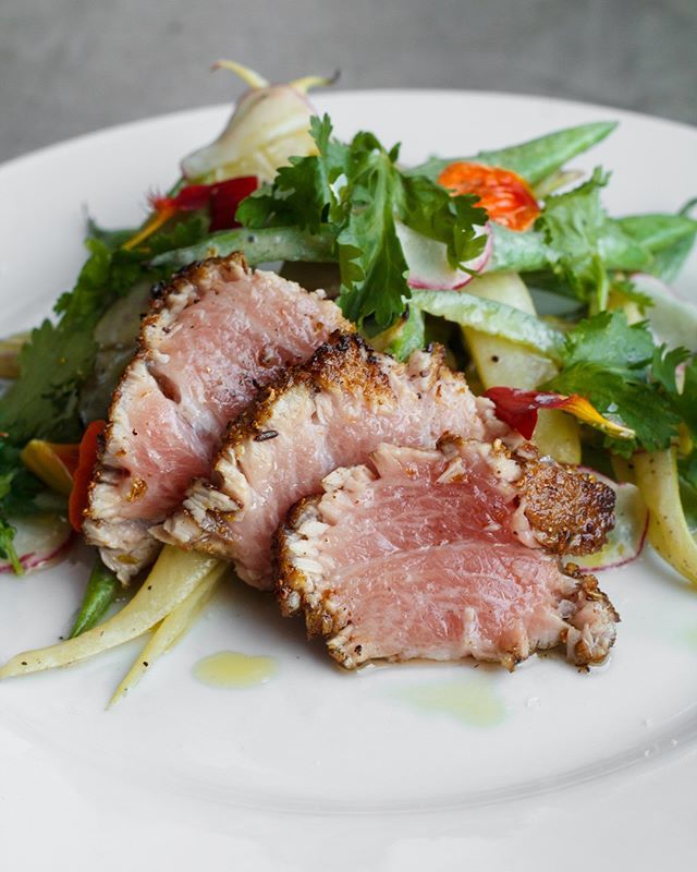 larutapdx's tweet photo. Fennel Crusted Tuna with grilled heirloom beans, jalapeño, green coriander, and tonnato. This is @tastynalder chef Perry Austin’s dish for Bluefin Tuna Week happening throughout Portland until August 5th! #BluefinTunaWeek #LaRutaPDX #tastynalder @torobra… https://t.co/lagTN0nQGf https://t.co/OKi3VrEpoE