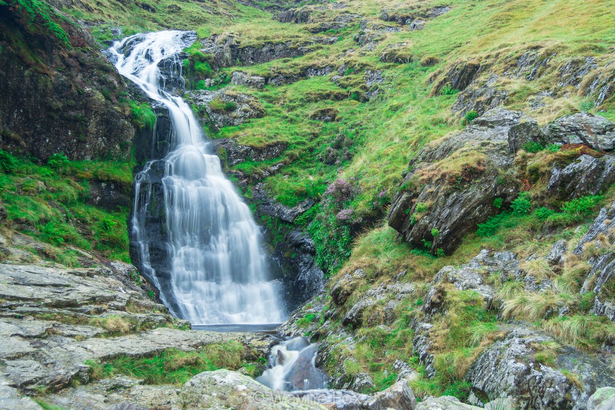 WFoxPhotographs's tweet photo. Moss Force Waterfall
Moss Force is a waterfall situated within the Lake District National Park Between Langdale and Buttermere Valley.

#photography #waterfall #lakedistrict @Lakelands #water #landscape #MossforceWaterfall #LangdaleValley #ButtermereValley #nikon #manfrotto https://t.co/cORvs8rO5C