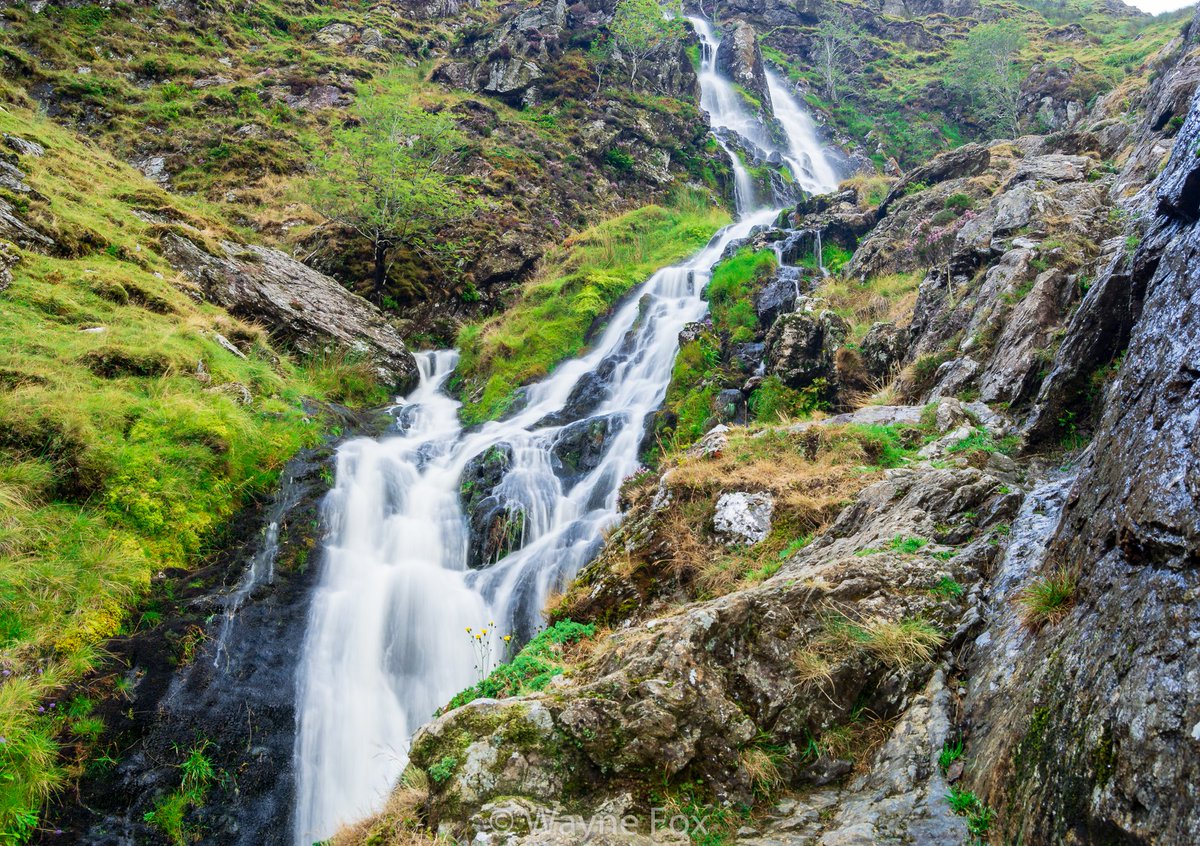 WFoxPhotographs's tweet photo. Moss Force Waterfall
Moss Force is a waterfall situated within the Lake District National Park Between Langdale and Buttermere Valley.

#photography #waterfall #lakedistrict @Lakelands #water #landscape #MossforceWaterfall #LangdaleValley #ButtermereValley #nikon #manfrotto https://t.co/cORvs8rO5C