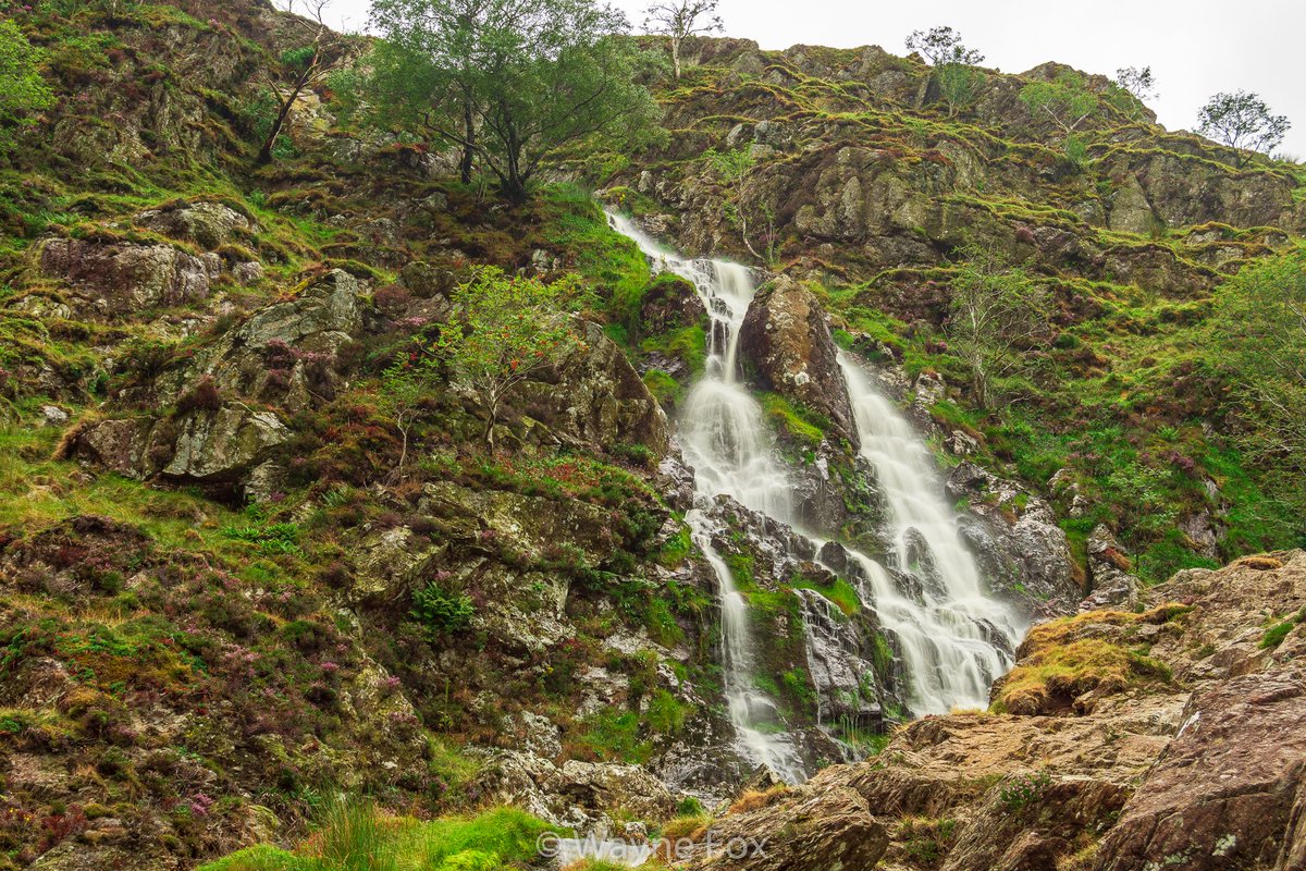 WFoxPhotographs's tweet photo. Moss Force Waterfall
Moss Force is a waterfall situated within the Lake District National Park Between Langdale and Buttermere Valley.

#photography #waterfall #lakedistrict @Lakelands #water #landscape #MossforceWaterfall #LangdaleValley #ButtermereValley #nikon #manfrotto https://t.co/cORvs8rO5C