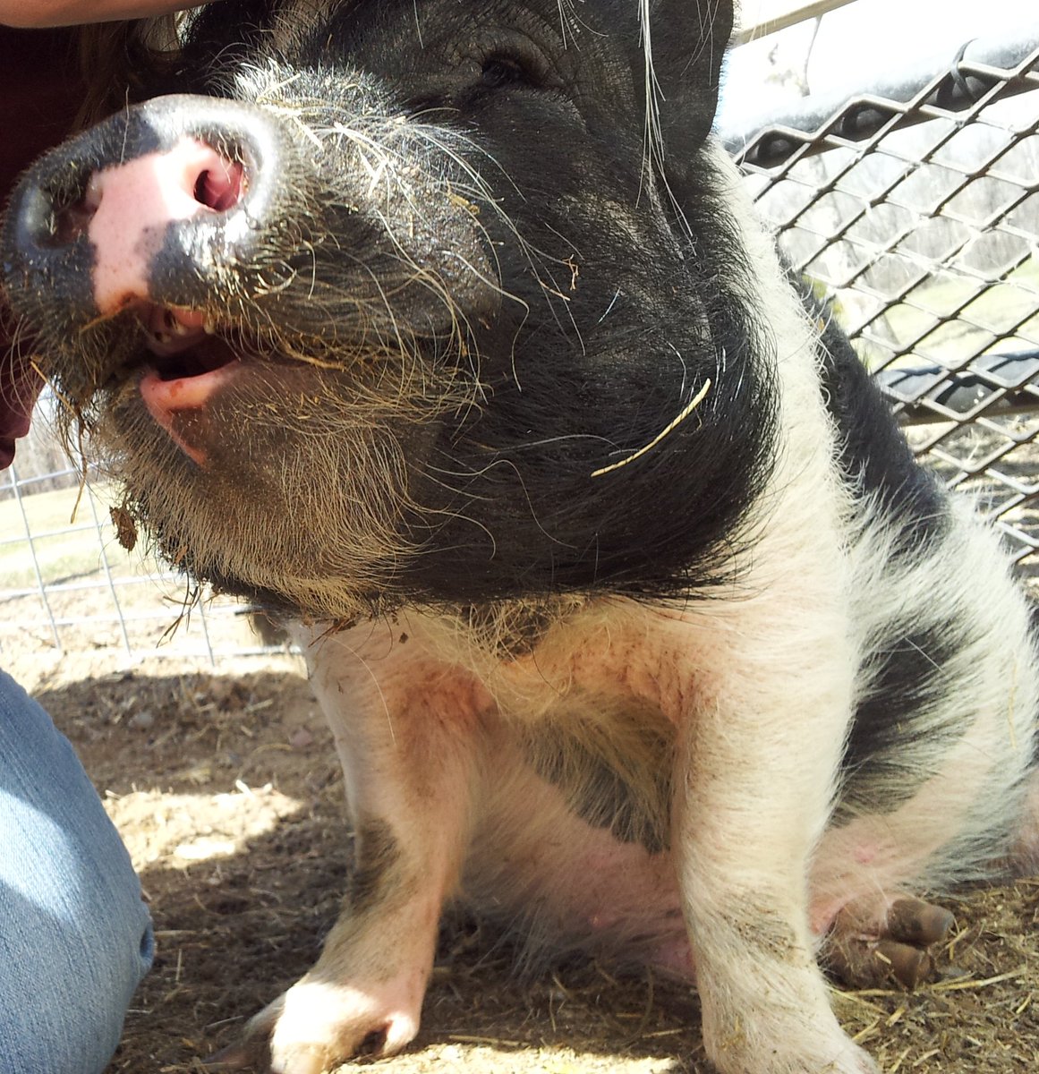 Federated Co-ops tweet media