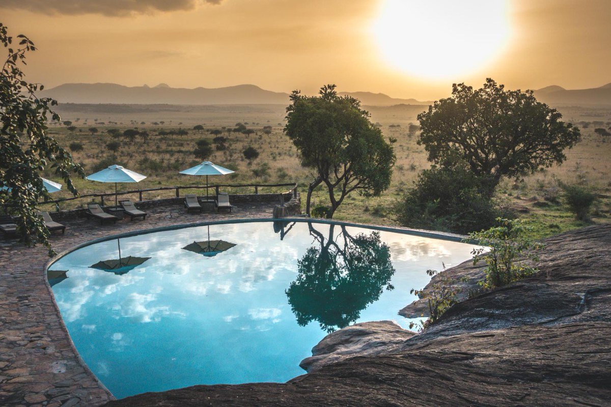 AhaJonathan's tweet photo. Because my country 🇺🇬 is often portrayed as a badly taken #selfie, I choose to share a few stunning locations I’ve been to. 

📷1-   Apoka Safari Lodge
📷2-  Pakuba Safari Lodge
📷3-  Crater Safari Lodge
📷4-  Kyangabi Resort

#VisitUganda #PearlofAfrica https://t.co/WL7hnvYD1X https://t.co/y0iO6a42vC