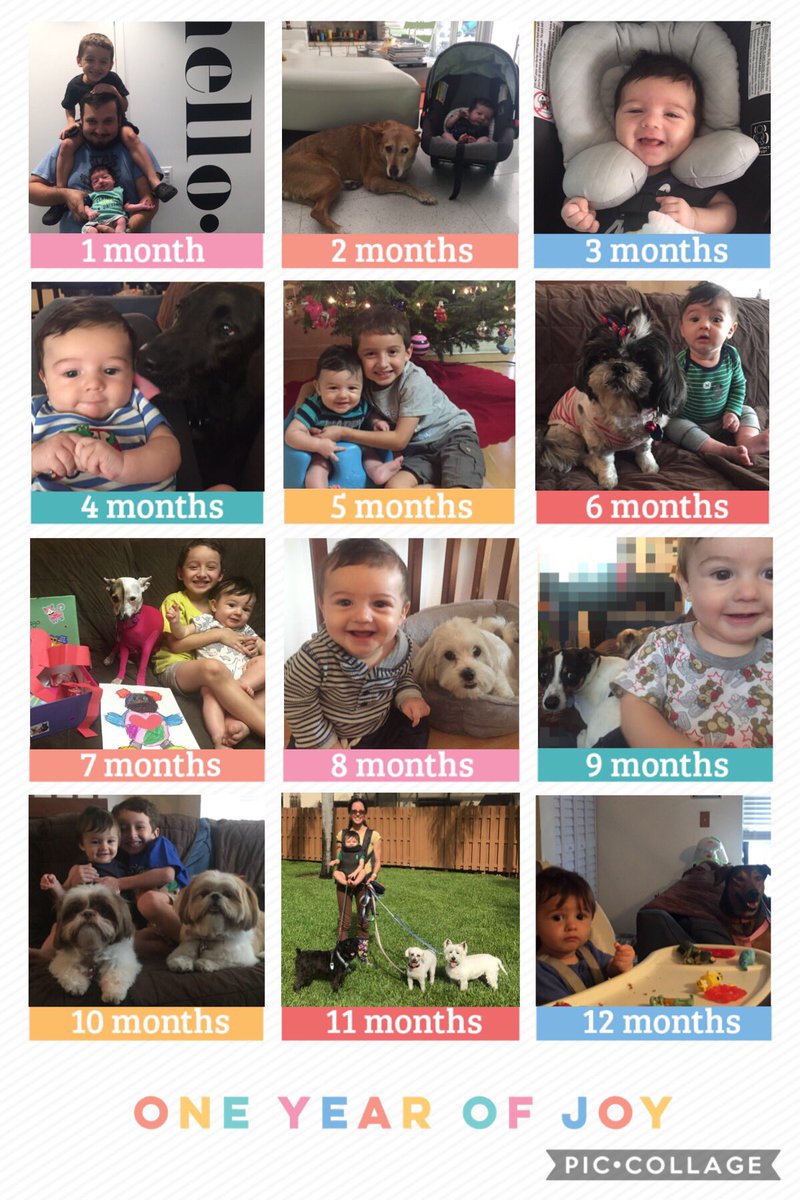 KarinaSitter's tweet photo. #happybirthday Baby Damian 
🎉🎂🎈I can’t believe it’s been #oneyear already. This year flew by with a blink of an eye. It’s been fun taking care of you and watching you grow so far. #mama, #papa and #bigbrother #loveyouverymuch. #yourock #myhappyboy #alwayssmiling #animallover https://t.co/E8z7IpcAFe