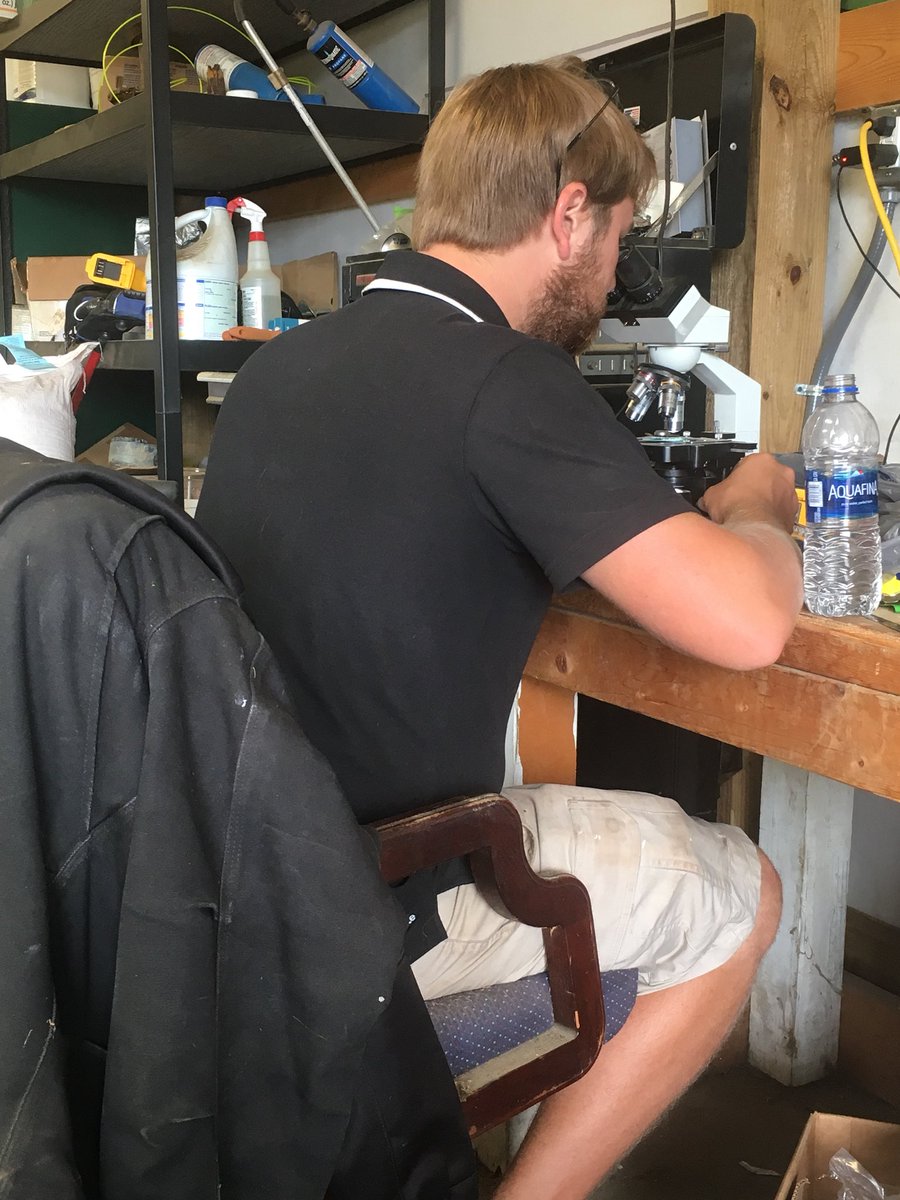 footyturf's tweet photo. OSU senior Seth Boster, this morning, diagnosing  some of the funk the muggy overnight brought us. https://t.co/MPCZkIhR7q