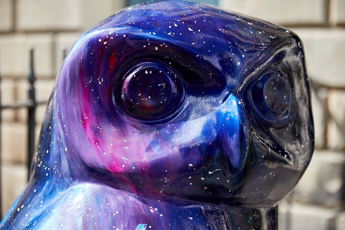 We were looking forward to seeing @LoisCordelia owl HerschOWL, and were not disappointment seeing it for real. 
Another fine piece of work Lois 🐼🐻🦉
<a href="/OwlsofBath/">Minerva's Owls of Bath 2018</a>