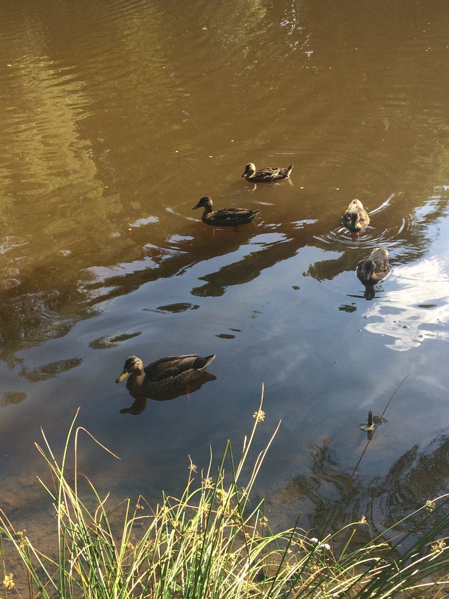 NiddArtTrail's tweet photo. Water the theme of NiddArt Trail https://t.co/WiZUQt16wz