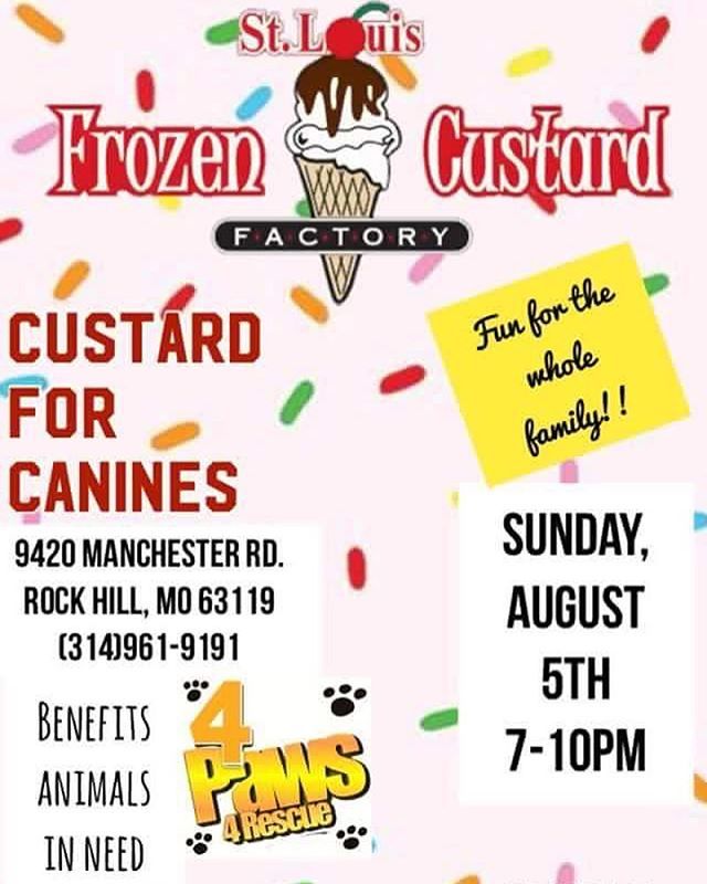 4Paws_4Rescue's tweet image. Raffles, face painting, adoptable dogs, a bubble bus AND ice cream? This combo is one of a kind and we can’t wait to see you there!! #fundraiser #acceptingdonations #bubblebus #icecream #custardforcanines ift.tt/2OCfuZw