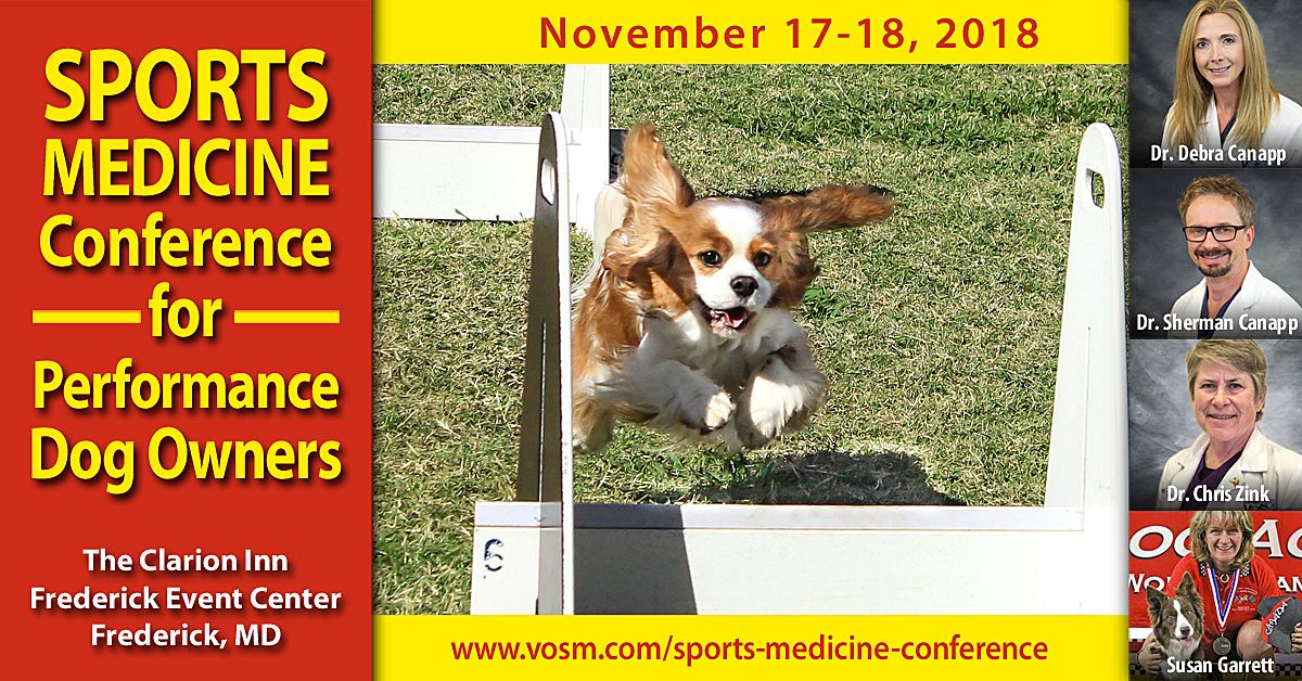 VespasMum's tweet photo. The 1st Sports Medicine Conference for Performance Dog Owners caters to experienced trainers and handlers in the sporting community.

Registration is OPEN ==> https://t.co/hoKZi5IX3u https://t.co/2XaMklRvhz