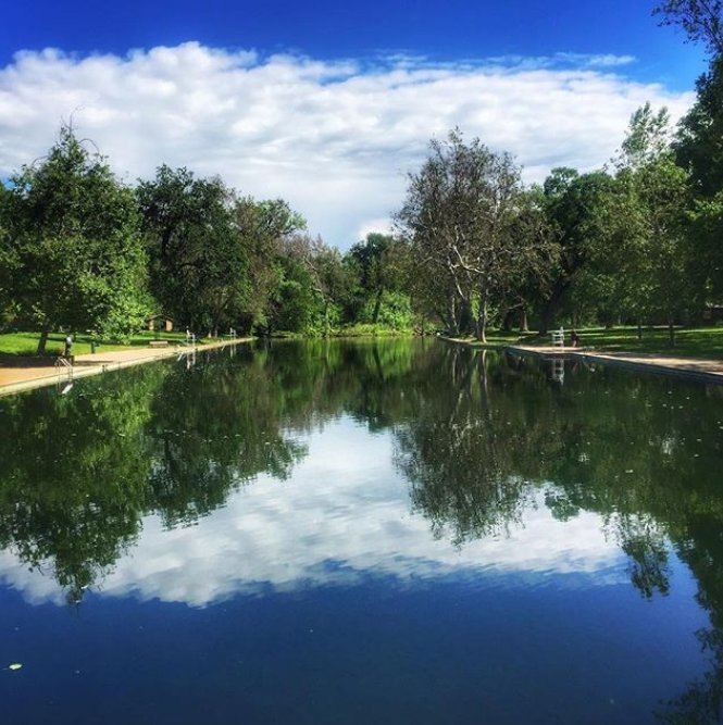 Bidwell_Pizza's tweet photo. We think it's time for a #swim at #sycamorepool. โ๏ธ๐
|Instagram via ๐ธ @explorebutteca |
#ChicoCA #BidwellPark https://t.co/LXDc29F4hH