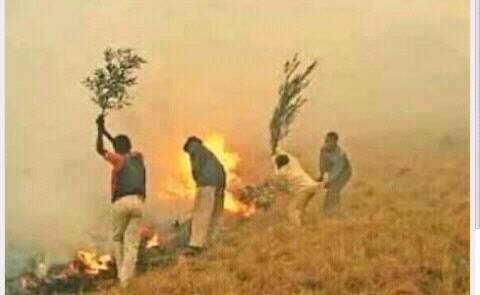 Tso_88's tweet image. #KnowYourLocal @LuloCafe @AudioGasmMetro