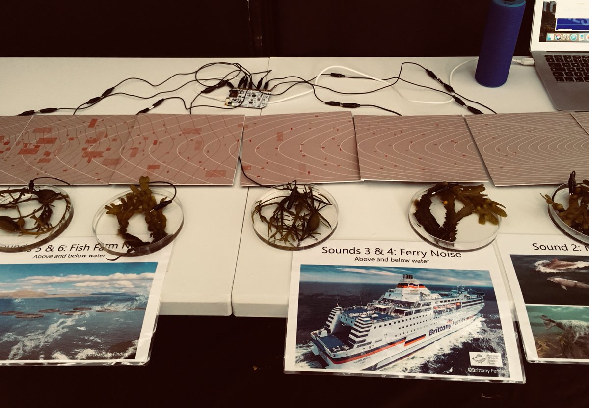 <a href="/RaeGMiller/">Raeanne Miller</a> Loved the set-up about #underwaternoise created by <a href="/chazz_findlay/">Dr Charlotte Findlay</a> and her community partner. That was incredible and mind-blowing. Once you experience it, it completely changes your perception. Nothing like stepping into someone's shoes to understand their situation.