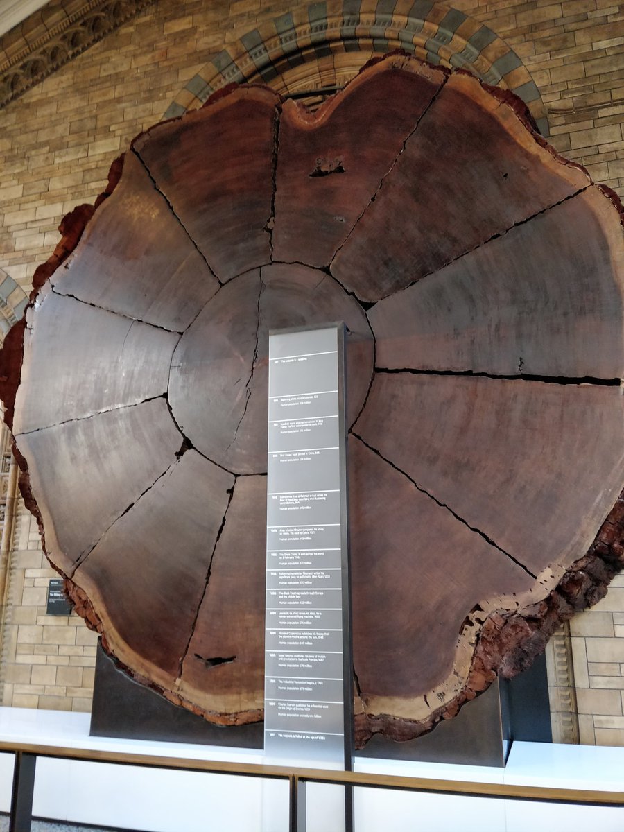 Young man enjoyed making a super hero made from the new Lego made from plants(sugarcane) <a href="/NHM_London/">Natural History Museum</a>