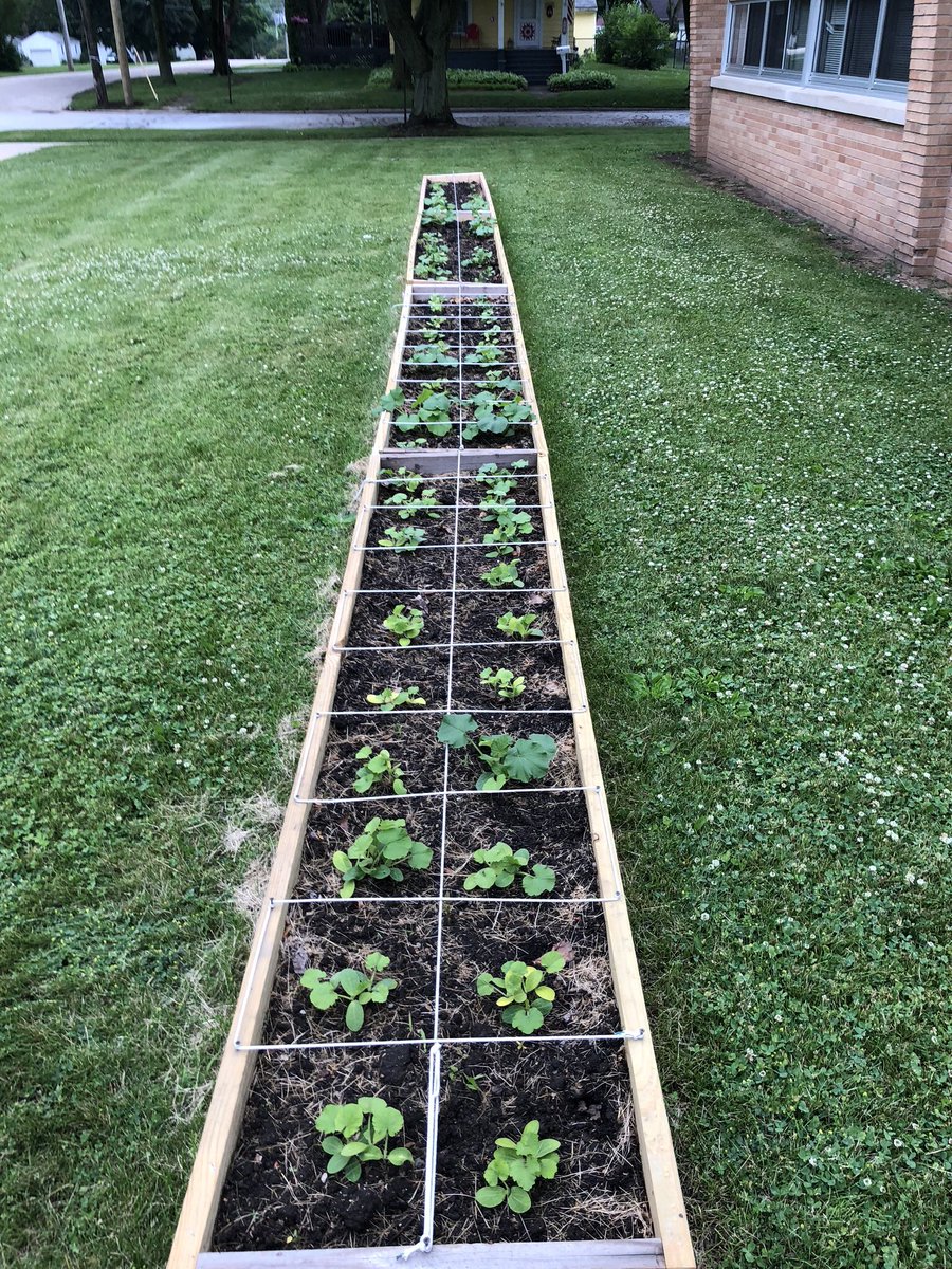 torrez_steve's tweet photo. Washington School STEM project is off and running! The life cycle of a seed, including agriculture processes!! The look on their preschool faces when they return to see their project will be priceless! #STEM #HarvardStateOfMind #wedolearning @HarvardD50 https://t.co/3K7xoiDRek