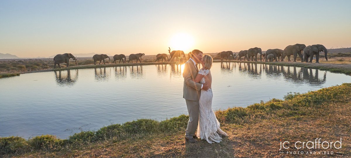 jccrafford's tweet photo. A #specialday in Jeff&amp; Carrie’s life. They flew all the way from the USA to say #ido in front of their family in the SA bush. The big #Elephant bull #Sebakwe brought in their #weddingrings. You couldn’t get a more special place for a #wedding. #campjabulani #kapamagamereserve https://t.co/ACZ7dmNKU9