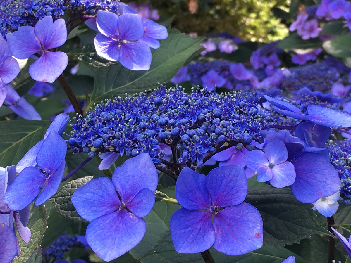 Harvey Stephens tweet media