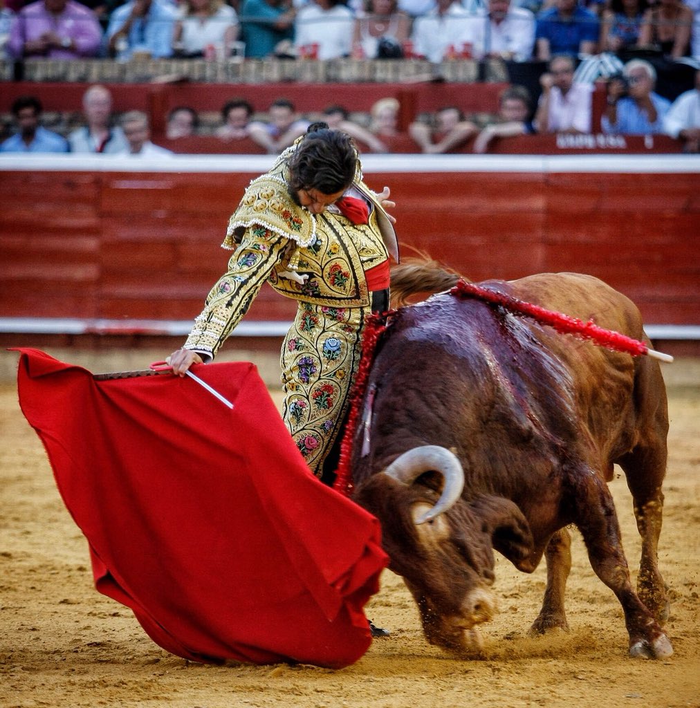 🔴 EN VIVO || Dos orejas para un inspiradísimo @MoranteTour, que cuaja con belleza y exquisita lentitud a un excelente #toro de @JuanPedroDomecq, al que, incluso, banderillea 📸 @_glezarjona #Colombinas2018 #tuFeria #sólofaltastú