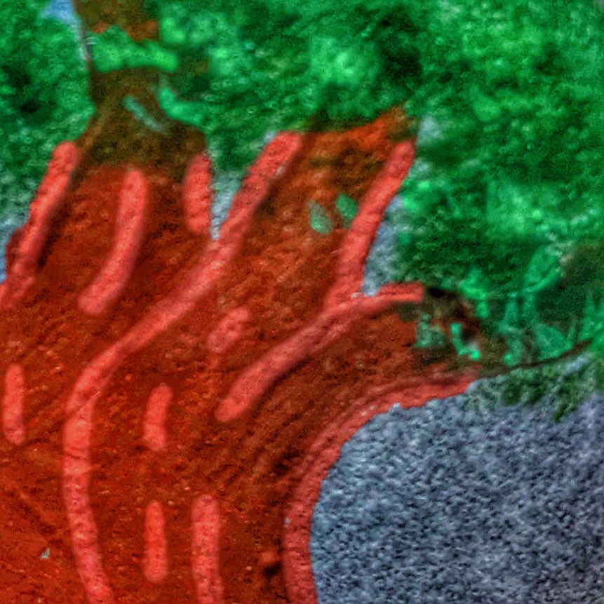 RosiefloStudio's tweet photo. Friday Mojo βπΌ
#closeup #acrylicandchalk #paintonrocks #storystones #customorder #bespoke #handpainted #snapshot #friday #mojo #rosieflo #rosieflostudio #imagebbles https://t.co/K7j2Avl3CA