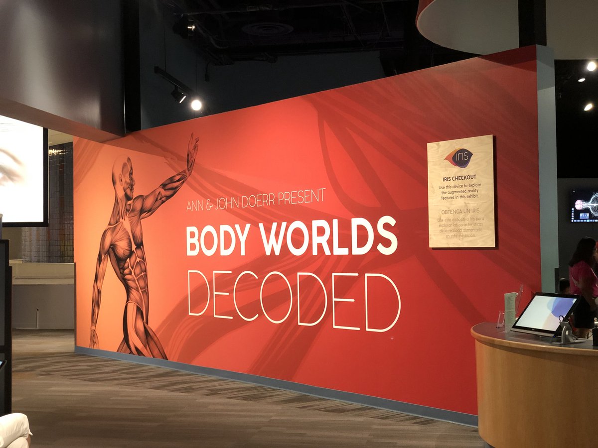 MassimoGiordani's tweet photo. La comunicazione scientifica passa per lβarte @TheTechMuseum #BodyWorldsDecoded https://t.co/pS25egsHvn
