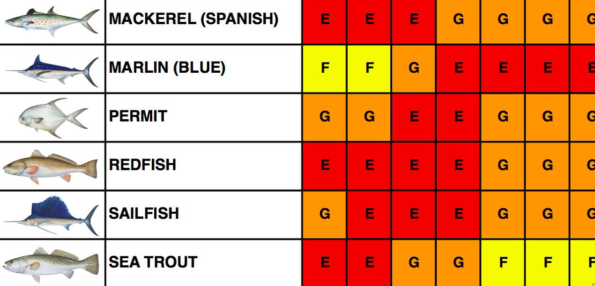 FlyMastery's tweet image. We recently updated our #SouthFlorida #Fishing Seasons data to include more species.  Feel free to save or drag-n-drop the info to any local device.  bit.ly/2O836zm  #flyfishing #yakfishing #kayakfishing #Floridafishing #sportfishing #KeyWest #FloridaKeys #aquaculture