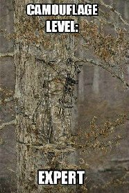 SceeryOutdoors's tweet photo. This guy is GOOD! All I can see is his gun!
#camo #huntingaddict #huntingaddiction #huntingdeer #deerhunter #huntingseason
https://t.co/LAimjwqky8 https://t.co/BNz5PTHh0f