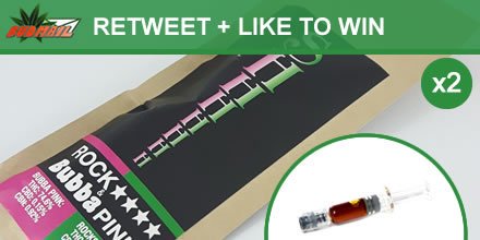 therealbudmail tweet picture